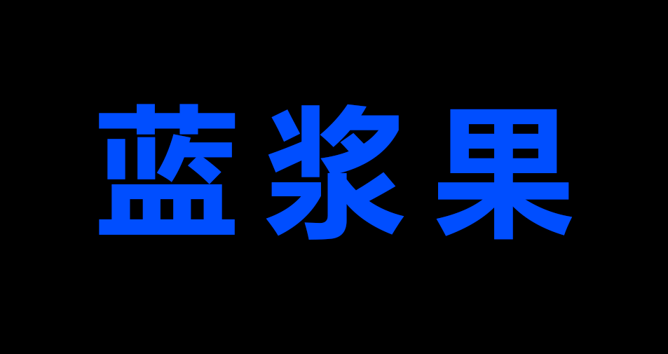 蓝浆果.png