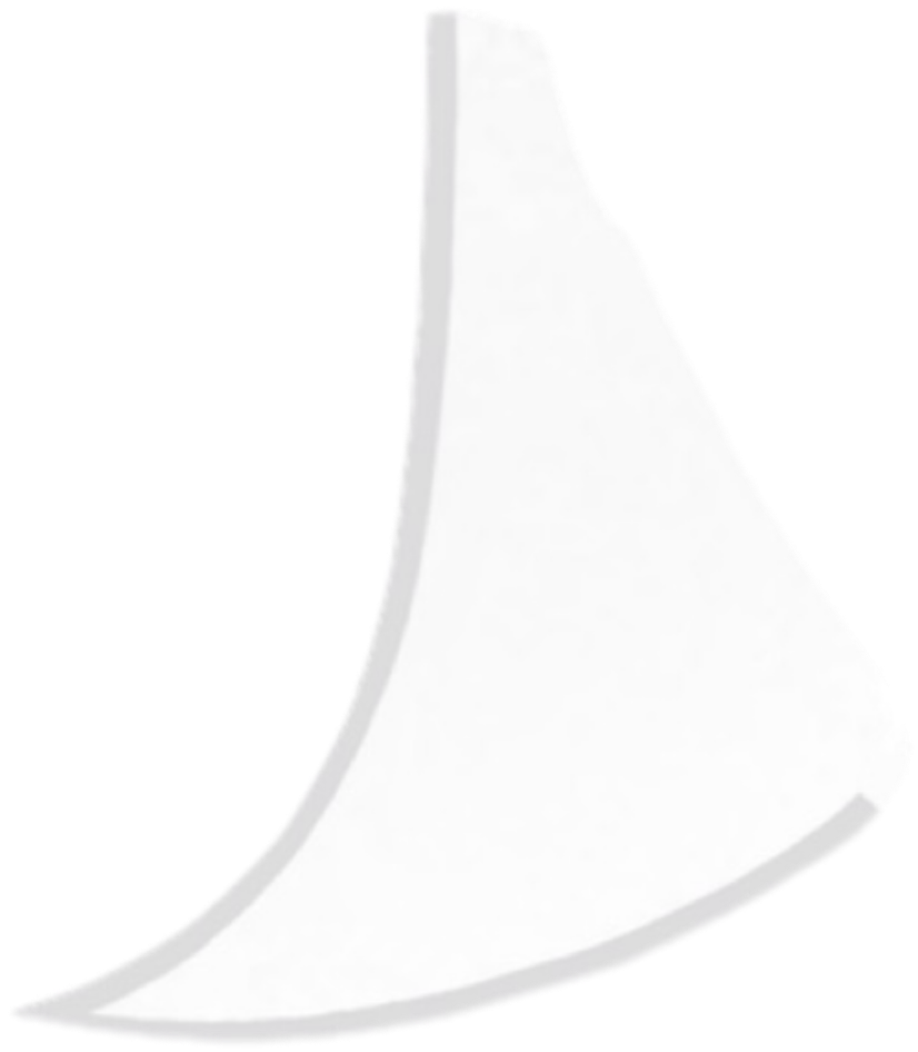 IMG_7517.png