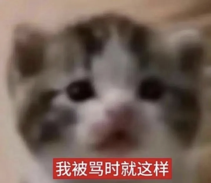 1000116177.jpg