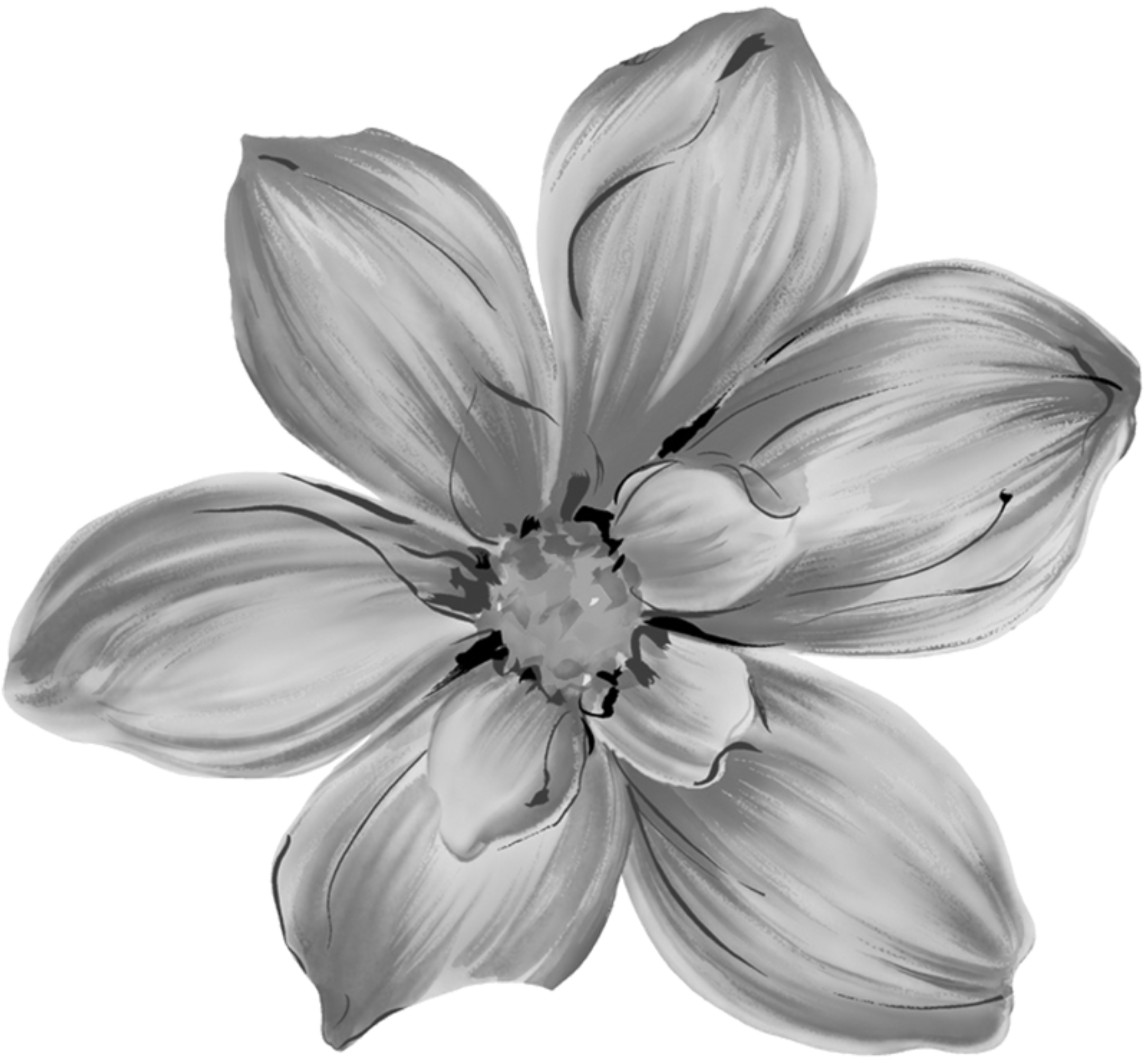 retouch_2026080923581571.png