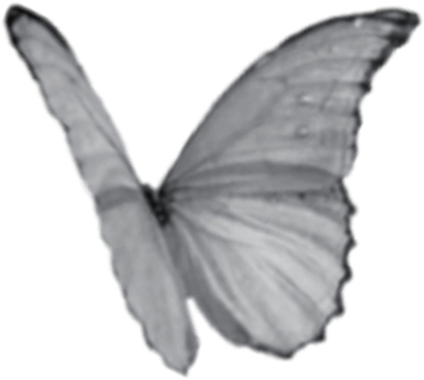 retouch_2026080923573816.png