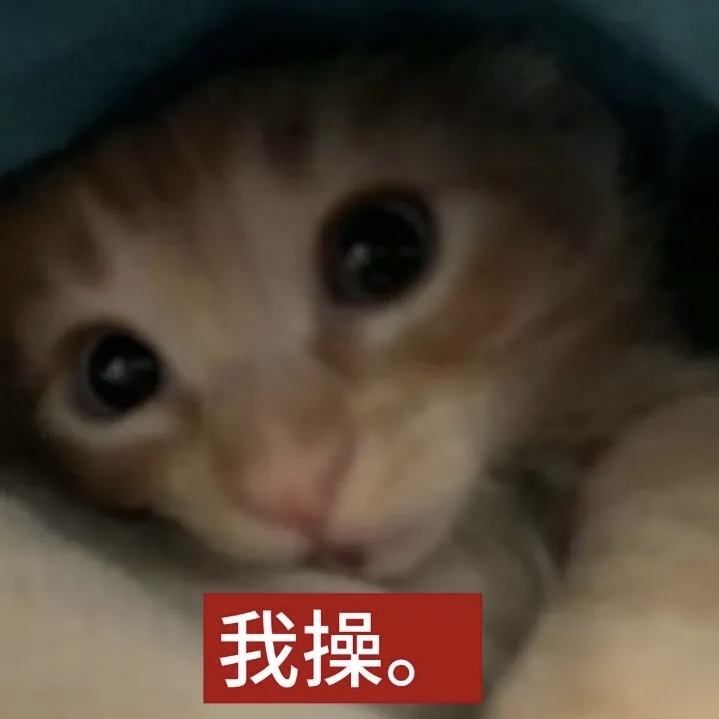 1000116178.jpg
