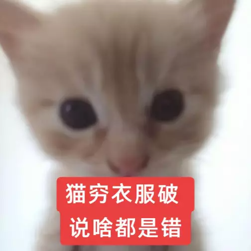 1000116182.png