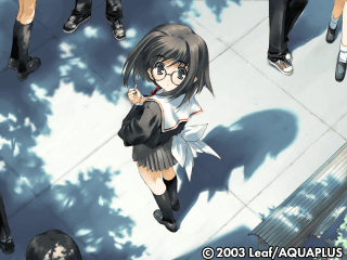 vis01.gif