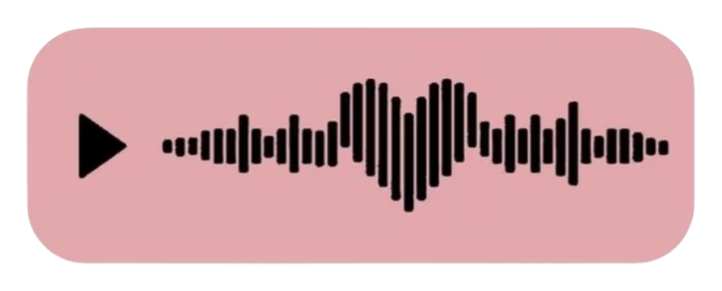 1000033226.png