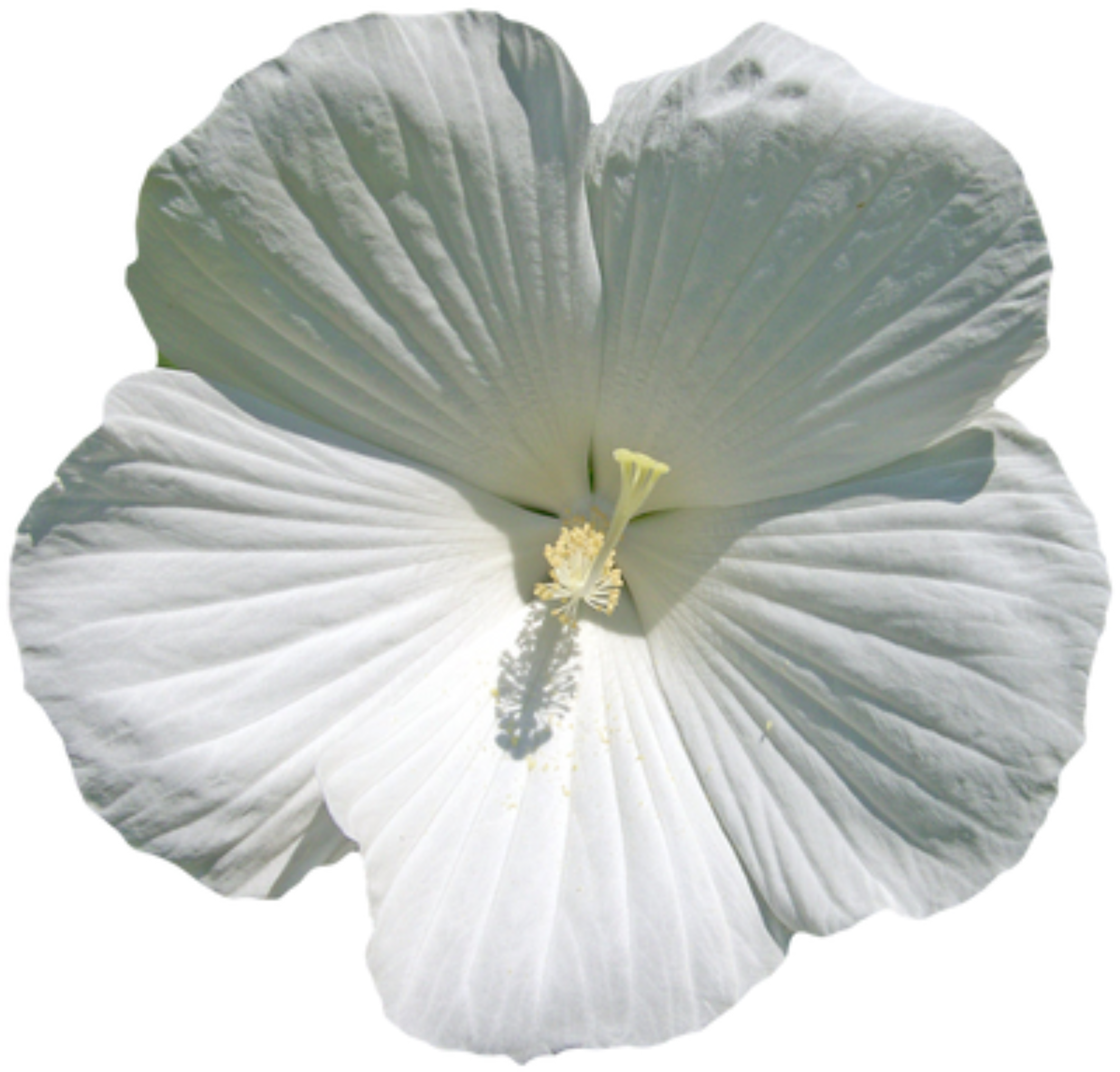 retouch_2026080923582928.png