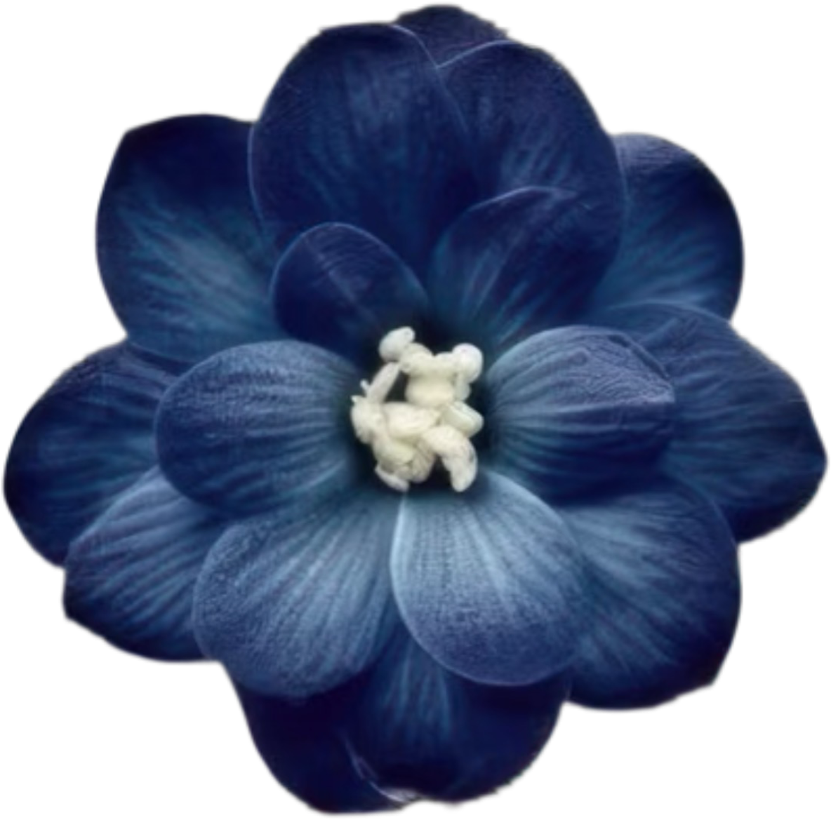 IMG_9758.png