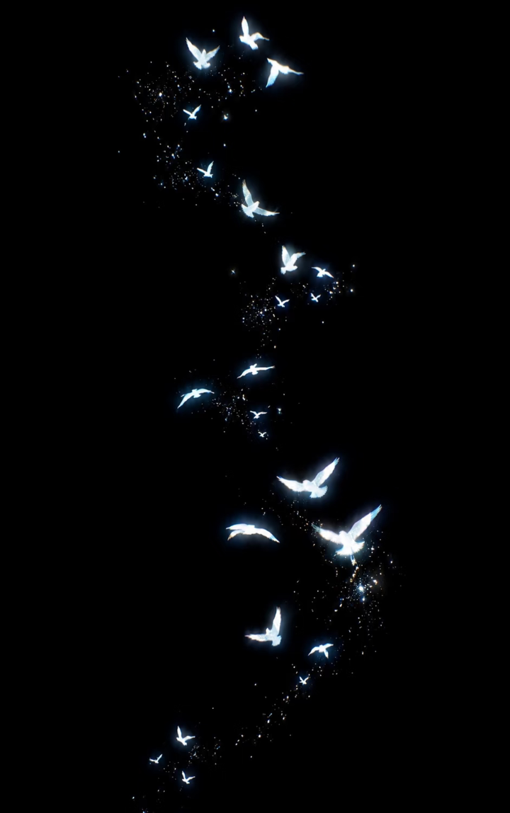 Screenshot_2026_0810_010022.png