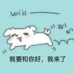 小狗：我要和你好 我来了.jpeg