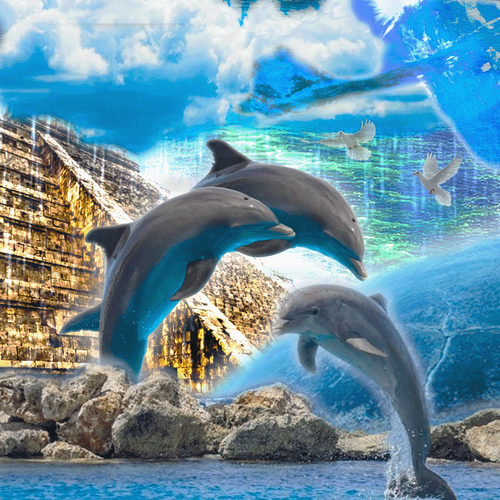 王帕里《海豚的幻觉.PNG
