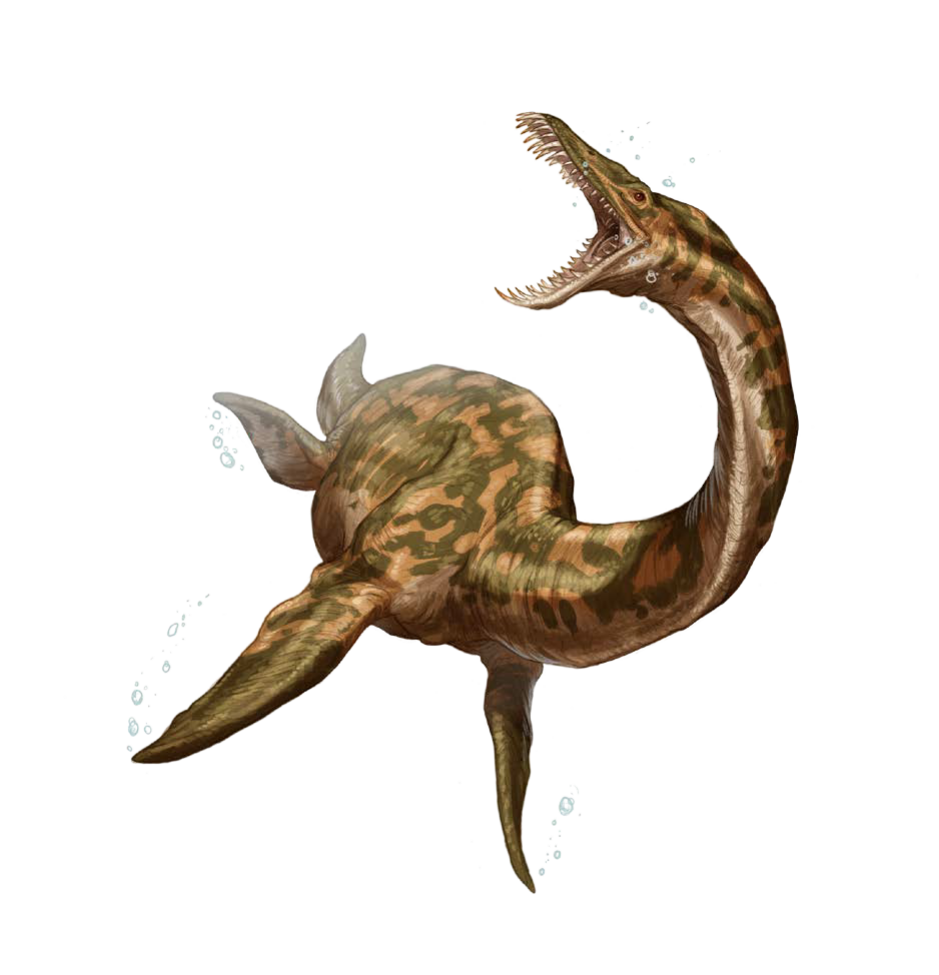 Dinosaur, Ceratosaurus, Plesiosaurus.png