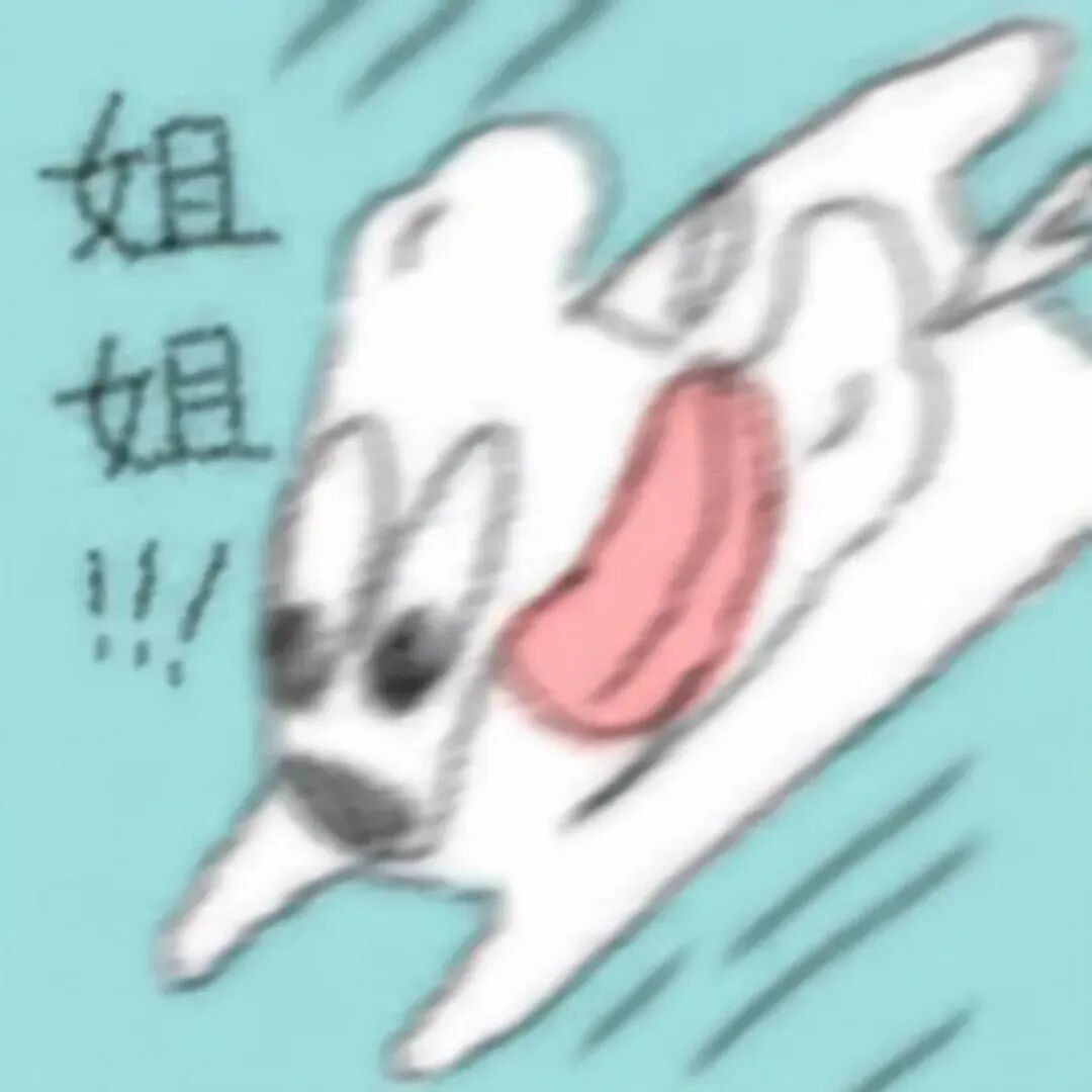 小狗狂奔：姐姐！.jpeg