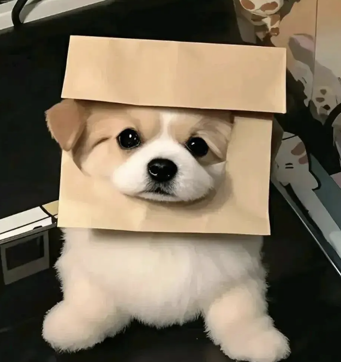 截圖 2026-08-11 10.49.14.png