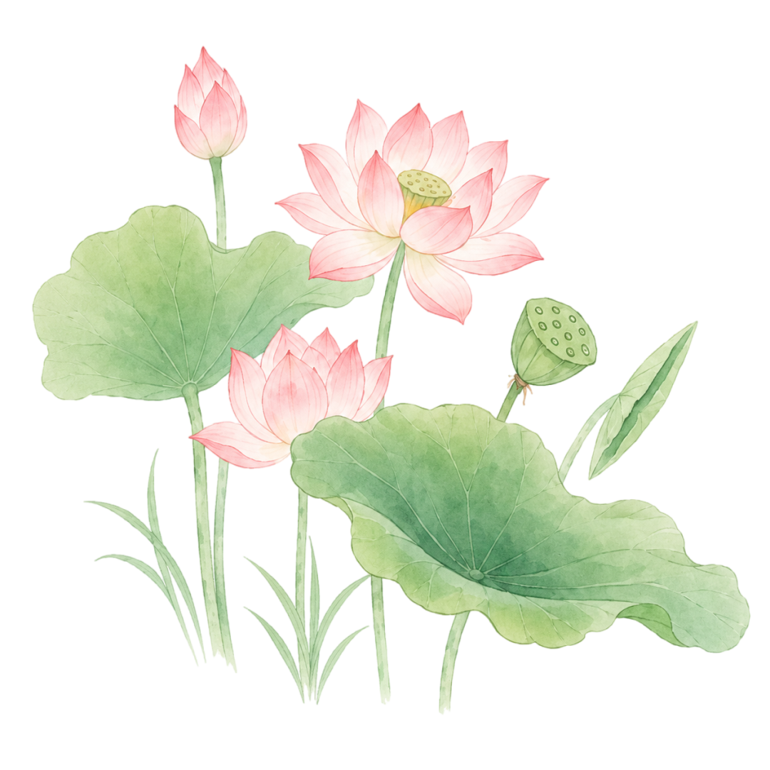 640 (4).png