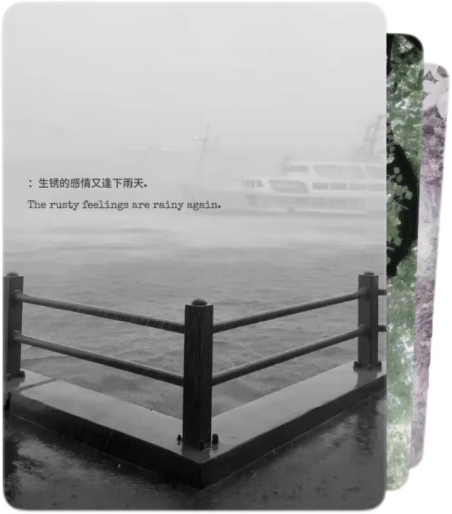 IMG_0311.png