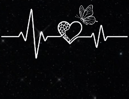 Screenshot_2026_0811_154955.png