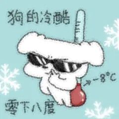 小狗推墨镜：狗的冷酷 零下八度.jpg