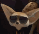 16704-12.gif