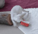 31390-14.gif