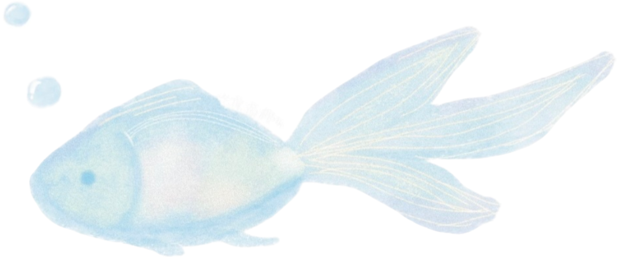 retouch_2026081223205876.png