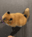 44171-83.gif