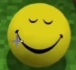 1786522302011.jpeg