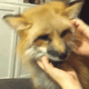 3上传失败一次.gif
