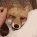 86.gif