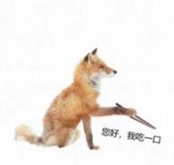 18759-我是不会放弃搞狐糊表情包的！_10_亦可赛舟_来自小红书网页版.jpg