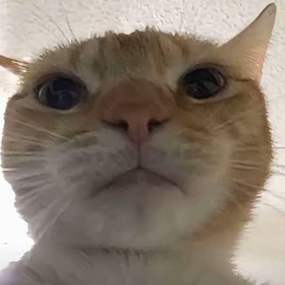 1000083961.jpg