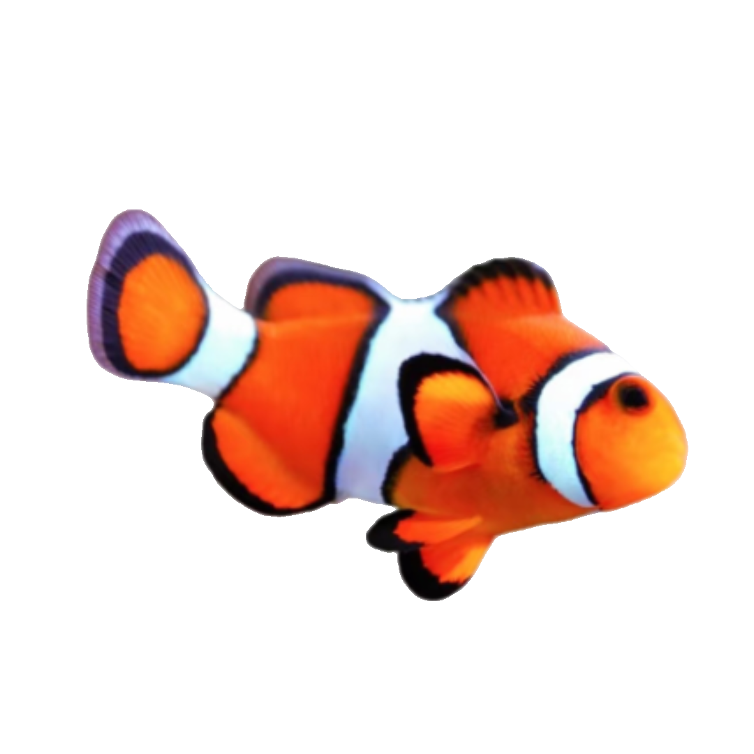 1786543965998.png
