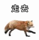 1995-我是不会放弃搞狐糊表情包的！_7_亦可赛舟_来自小红书网页版.jpg