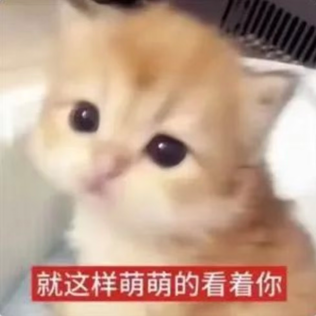 com.xingin.xhs_20260812134954.png