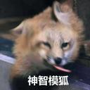 47266-都说了我是不会放弃制作狐狐表情包的啦_18_亦可赛舟_来自小红书网页版.jpg