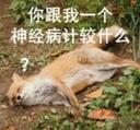 55515-我是不会放弃搞狐糊表情包的！_17_亦可赛舟_来自小红书网页版.jpg