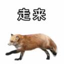 18912-我是不会放弃搞狐糊表情包的！_6_亦可赛舟_来自小红书网页版.jpg
