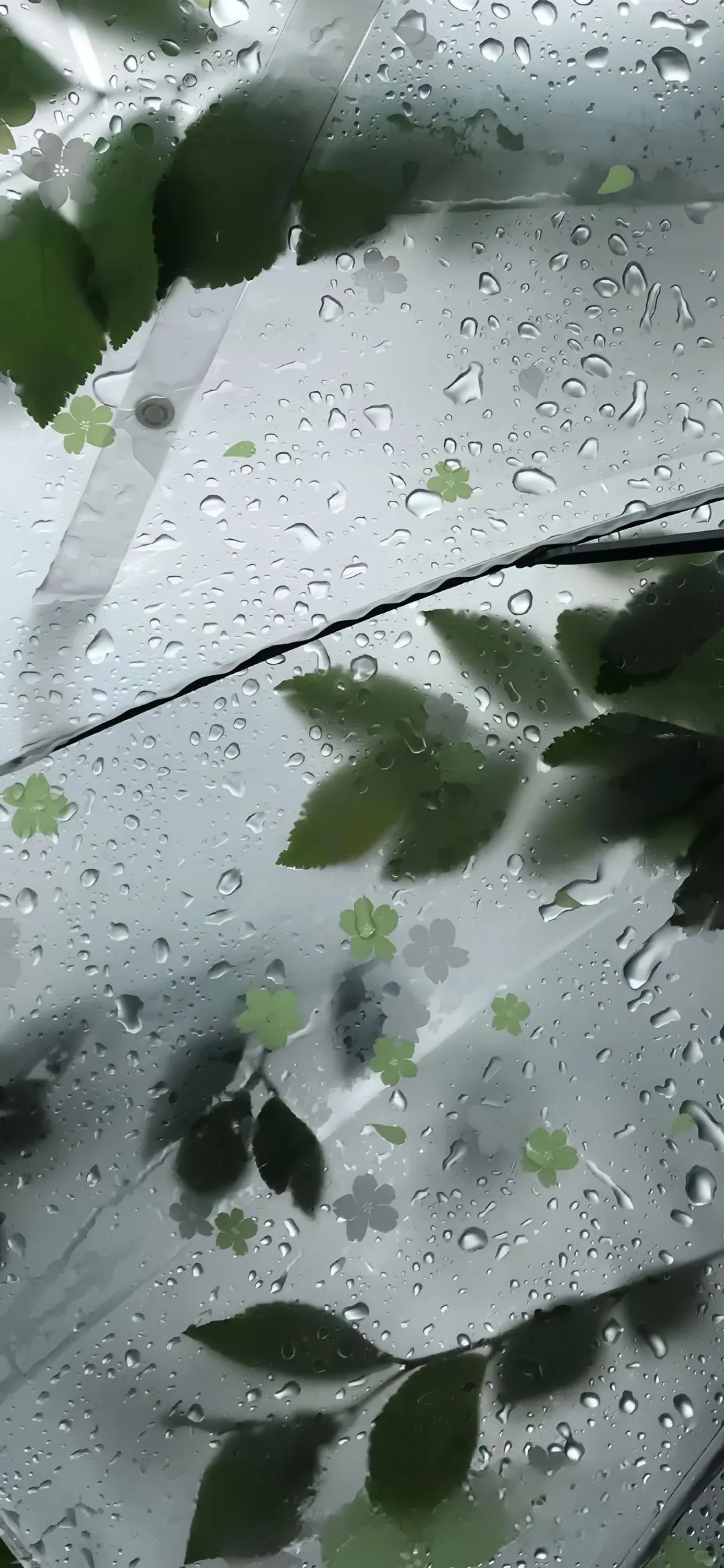 ins雨滴壁纸˗ˋˏ🌧ˎˊ˗_1_好运常来_来自小红书网页版.jpg