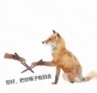 40121-我是不会放弃搞狐糊表情包的！_11_亦可赛舟_来自小红书网页版.jpg