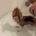 52434-output-15_8_54.gif