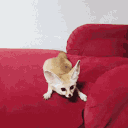 54053-4.gif
