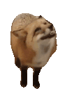 69.gif