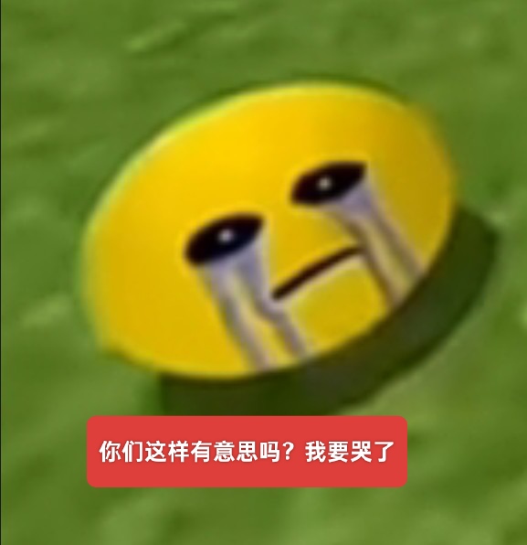 1786519406611.jpeg