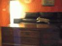 59500-15.gif