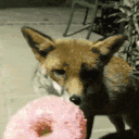 73.gif