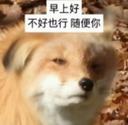 53899-我是不会放弃搞狐糊表情包的！_9_亦可赛舟_来自小红书网页版.jpg