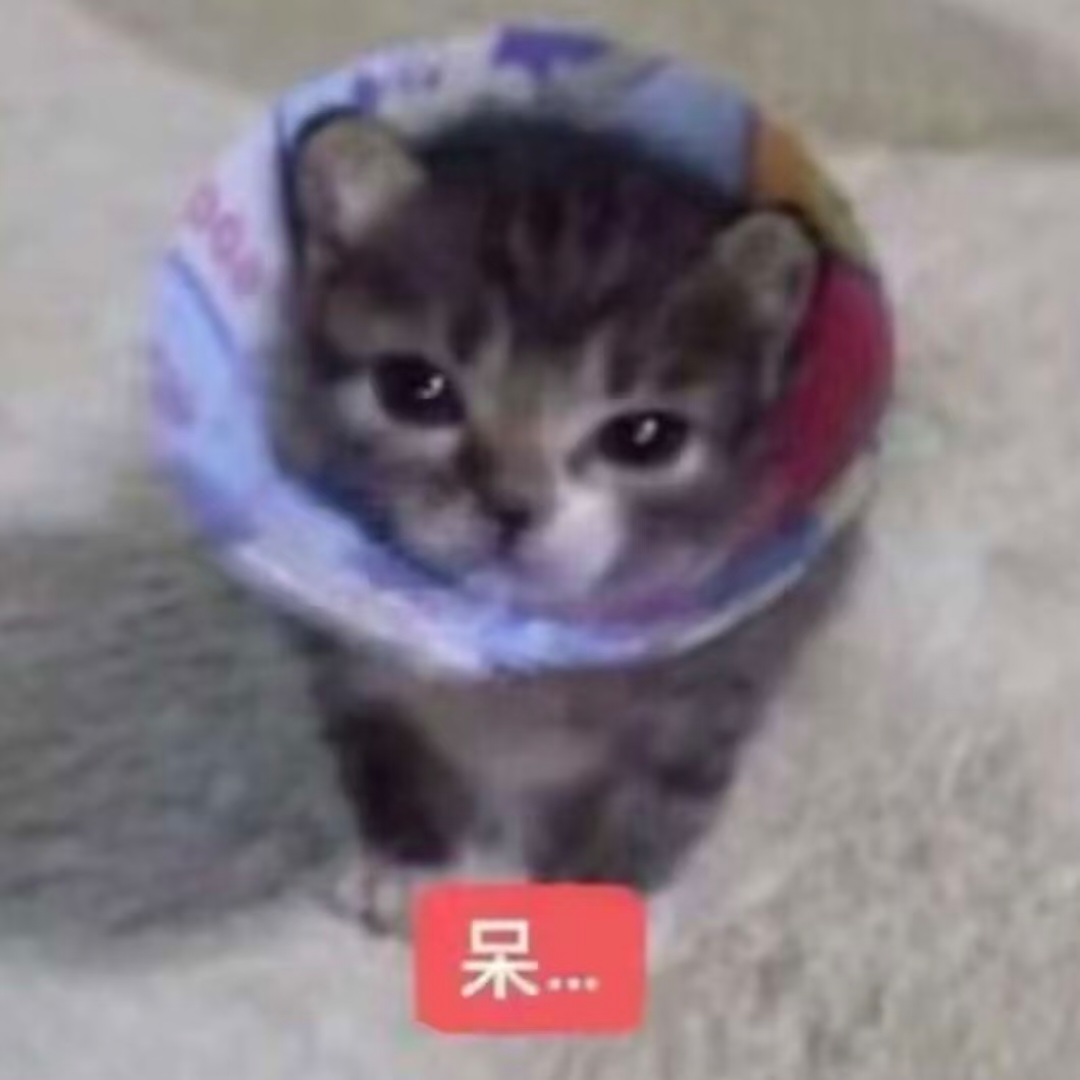com.xingin.xhs_20260812134942.png