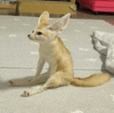 12768-9.gif