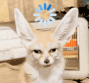 66.gif