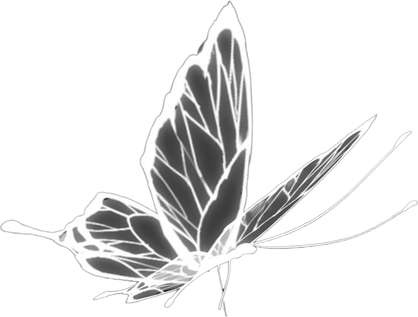 retouch_2026081222063858.png