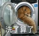 6783-我是不会放弃搞狐糊表情包的！_12_亦可赛舟_来自小红书网页版.jpg